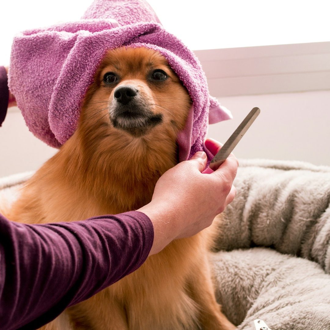 Hundesalon Wegberg