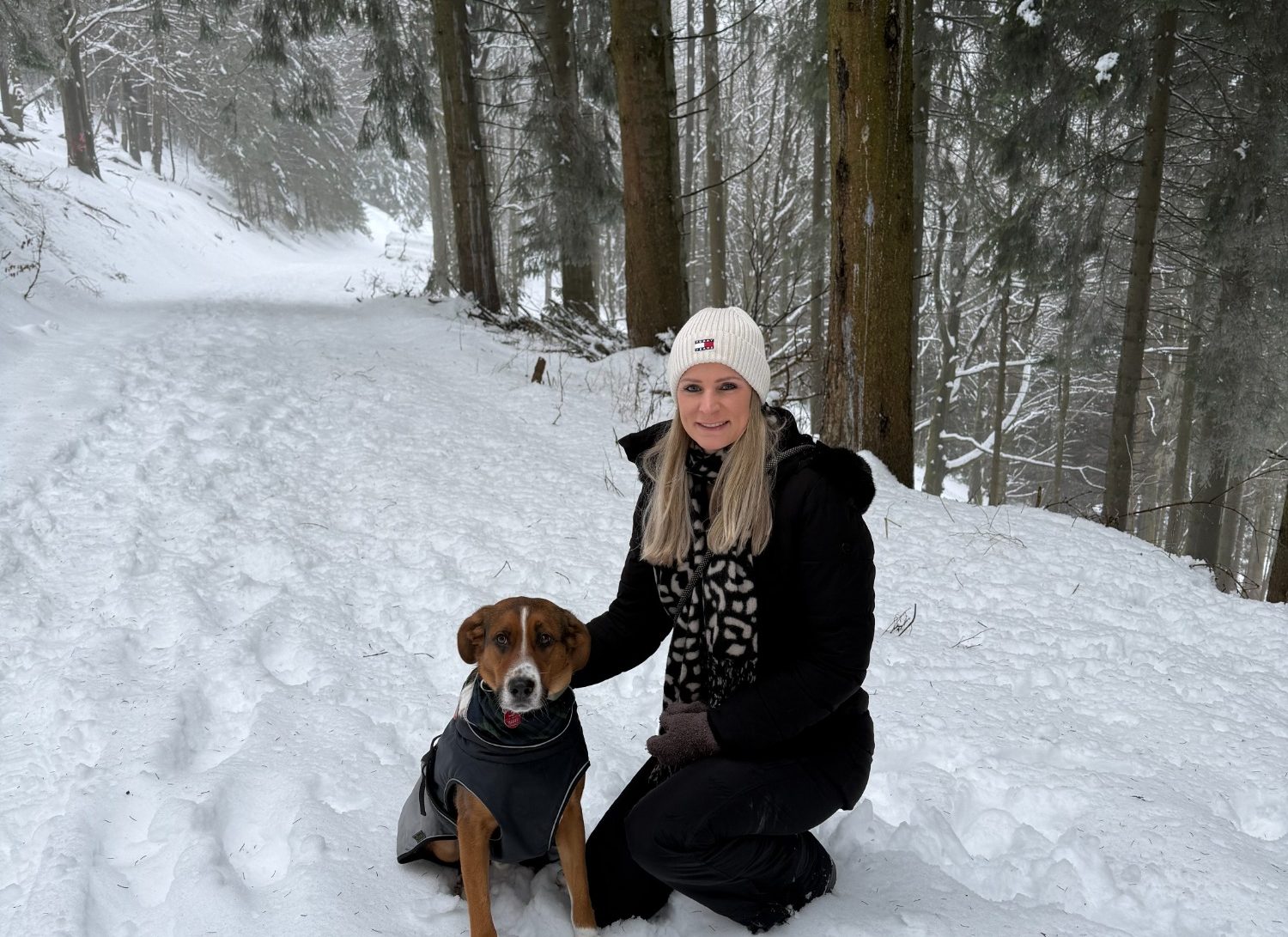 Hundefriseur Arsbeck